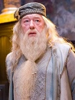 Qui est Dumbledore - My Little Wizard